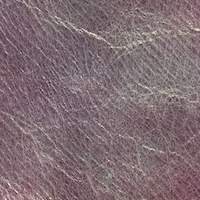 09-fialková purpurová koža